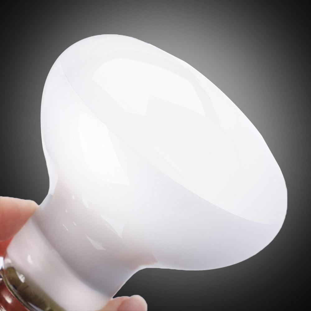 เครื่องควบคุมอุณหภูมิหลอดไฟสำห - Basking Bulb Halogen บทวิจารณ์และราคา