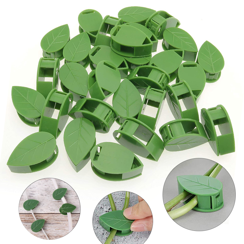 พืชที่มองไม่เห็นปีนเขา Wall FI - Vine Climbing Plastic บทวิจารณ์และราคา